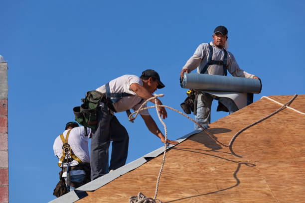 Best Storm Damage Roof Repair  in Bluff City, TN
