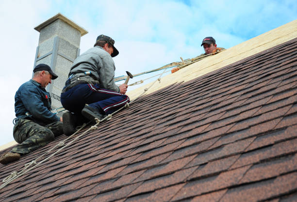 Best Roof Waterproofing Services  in Bluff City, TN